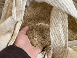 Samanta iarba coasa,pasune ,islaz ,terasamente — miniatura 3