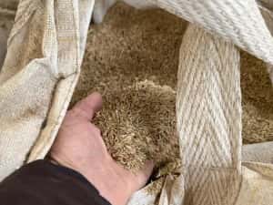 Samanta iarba coasa,pasune ,islaz ,terasamente — miniatura 7