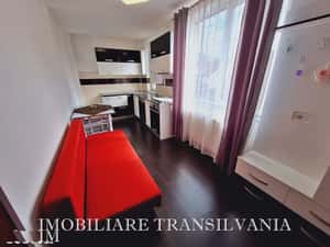 Apartament de închiriat, etaj 1, 45 mp - zona Calea Moldovei — miniatura 3