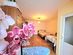 Garsoniera insorita, strada Traian, Brasov