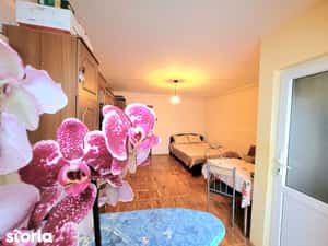 Garsoniera insorita, strada Traian, Brasov — miniatura 6