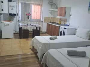 Cazare Muncitori Apartamente Garsoniere paturi single bucătării proprii terasă Valu lui Traian Constanta — miniatura 9