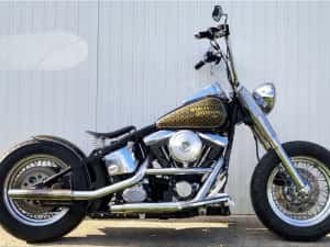 Harley davidson softail evo bobber