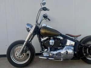 Harley davidson softail evo bobber — miniatura 4