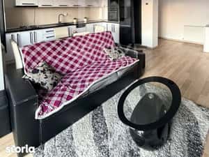 Apartament cu 2 camere || zona Garii — miniatura 5