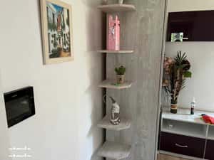 apartament de inchiriat doua camere decomndat_Iasi zona Palas