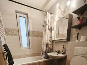 Apartament 2 Camere Centrala Proprie Zona Timisoara Braytim Eso — miniatura 7