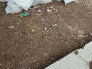 Evacuare moloz Transport moloz Car moloz Debarasare mobila veche — miniatura 2