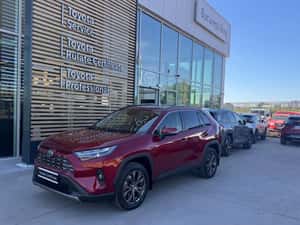 TOYOTA RAV4 2.5 Full Hybrid 4x4 Luxury 222 CP /car no. 133