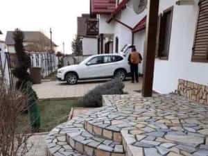 Piatra naturala de munte de Grecia — miniatura 4