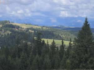 Teren intravilan cu priveliste spectaculoasa - Piatra Fantanele — miniatura 1