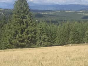 Teren intravilan cu priveliste spectaculoasa - Piatra Fantanele — miniatura 4