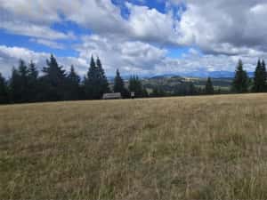 Teren intravilan cu priveliste spectaculoasa - Piatra Fantanele — miniatura 5