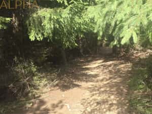 Teren intravilan cu priveliste spectaculoasa - Piatra Fantanele — miniatura 6