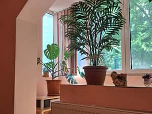 Sud(Al.Pajurei),apartament 2 camere de inchiriat — miniatura 2