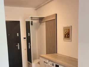 Apartament open space cu garaj în Buna Ziua — miniatura 3