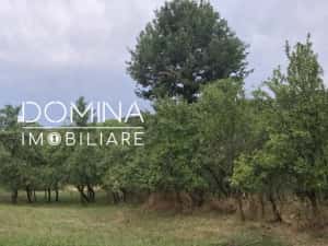 Vânzare casă – sat Bălcești, com. Bengești-Ciocadia – teren generos 6.770 mp — miniatura 6
