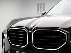 BMW XM Plug-in Hybrid - M96/2023, 54.956 km — miniatura 7