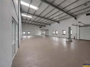 Hala productie premium+pachet afacere, domeniu de 4.700 mp teren,Solovastru, Mures — miniatura 2