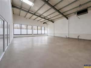 Hala productie premium+pachet afacere, domeniu de 4.700 mp teren,Solovastru, Mures — miniatura 4