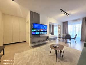 Apartament 2 camere tip sutido de inchiriat Maurer Villas-pet friendly — miniatura 3