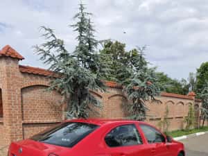 Skoda Octavia - An 2013 Euro 5  - Cutie Automata - Proprietar !! — miniatura 6