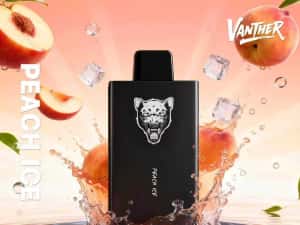Special 7+3gratis Vape Vanther 30k Pufuri Oferta — miniatura 3