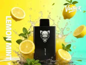 Special 7+3gratis Vape Vanther 30k Pufuri Oferta — miniatura 5