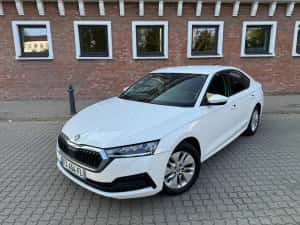 Skoda Octavia 4 2021 / 2.0 TDI / 116 CP / DSG / Full LED / Bord Digital / Istoric service Skoda — miniatura 2