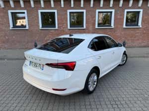 Skoda Octavia 4 2021 / 2.0 TDI / 116 CP / DSG / Full LED / Bord Digital / Istoric service Skoda — miniatura 4