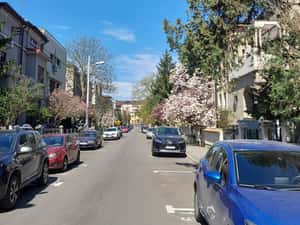 Etaj 1 Vilă Art Deco Moise Nicoară | 114mp + Pod Mansardabil — miniatura 3