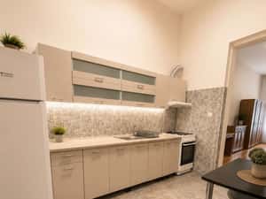 Apartament in stil clasic 50 mp zona Ultracentrala — miniatura 6
