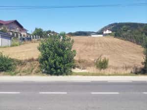 Teren intravilan 2.368 mq in Vladesti, Valcea - 32 m deschidere la DN 64 + acces secundar — miniatura 5
