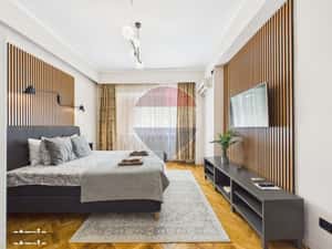 2 Camere tip studio | Piata Victoriei | centrala proprie | modern — miniatura 3