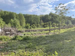 Foraje puturi apa de mica si mare adancime — miniatura 4