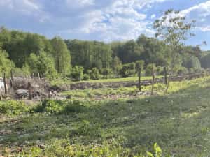 Foraje puturi apa de mica si mare adancime — miniatura 8