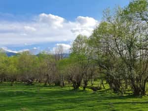 Teren superb la munte, suprafata 3000m/6,5 euro mp — miniatura 9