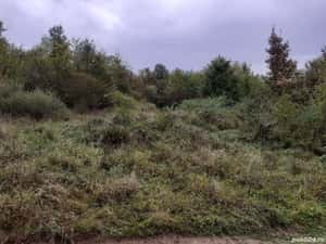 Schimb sau vand Pamant Arabil cu Auto,Apartament , Teren Intravilan — miniatura 7