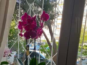 Apartament 4 camere-Aparatorii Patriei-Centrala proprie — miniatura 4