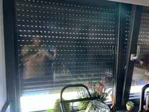 Rulouri exterioare din aluminiu, plase de insecte plise, glaf geam — miniatura 5