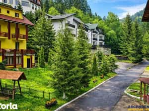 Tur LIVE! Refugiu in ambientul special al statiunii Poiana Brasov — miniatura 4