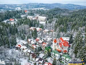 Tur LIVE! Refugiu in ambientul special al statiunii Poiana Brasov — miniatura 6