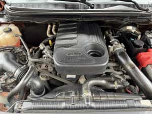 Ford Ranger Wildtrak 3.2 TDCi 4x4 Automată – Full – Look Raptor — miniatura 10