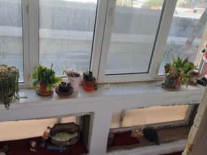 Apartament 3 camere Doamna Ghica — miniatura 6