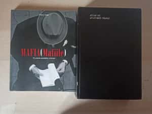 Enciclopedii istorie, stiinta, economie, arta, religie (lichidare biblioteca) — miniatura 8