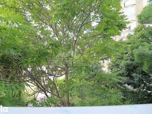 Inchiriere garsoniera cu centrala proprie Calea Calarasilor — miniatura 6