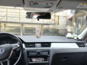 Skoda Rapid 1,2 TSI — miniatura 6
