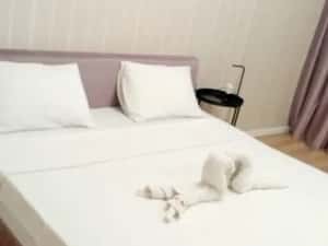 Apartamente în regim hotelier Non-stop sector 4 — miniatura 7