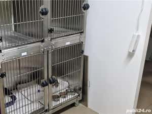Joyvet - Cabinet Veterinar Sector 3 — miniatura 2