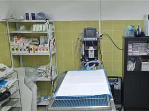 Joyvet - Cabinet Veterinar Sector 3 — miniatura 3